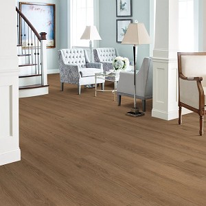 Willow Oak 12